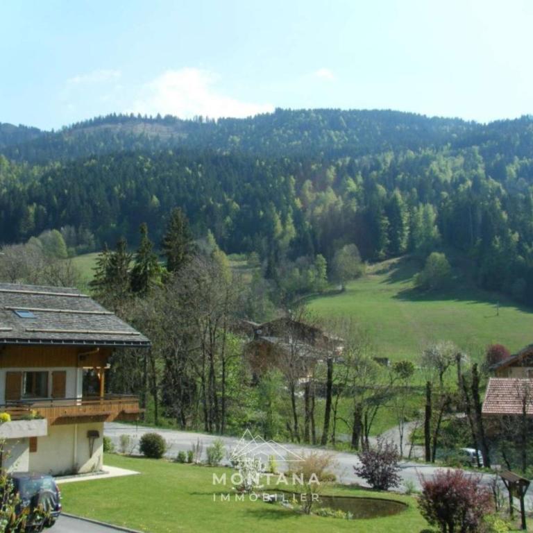 Appartement spacieux 4 pièces pour 6-8 personnes avec terrasse au Grand-Bornand - FR-1-458-239 - Appartement - 12