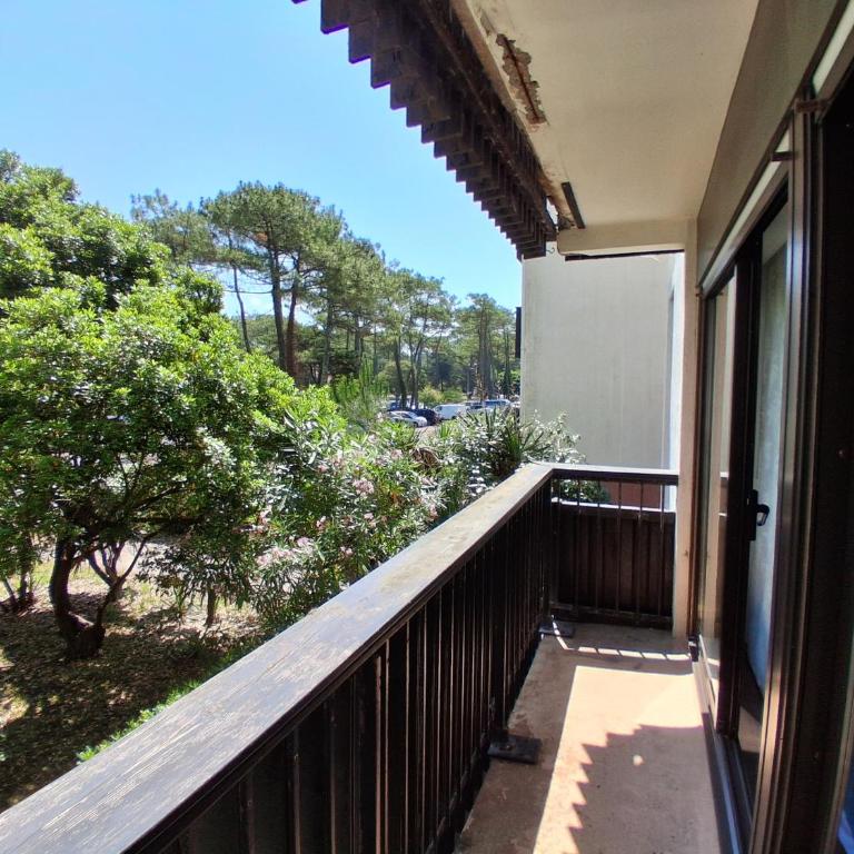 Appartement T2 à Seignosse - Plages et Commerces à Pied - Appartamento con 1 Camera da Letto - 13
