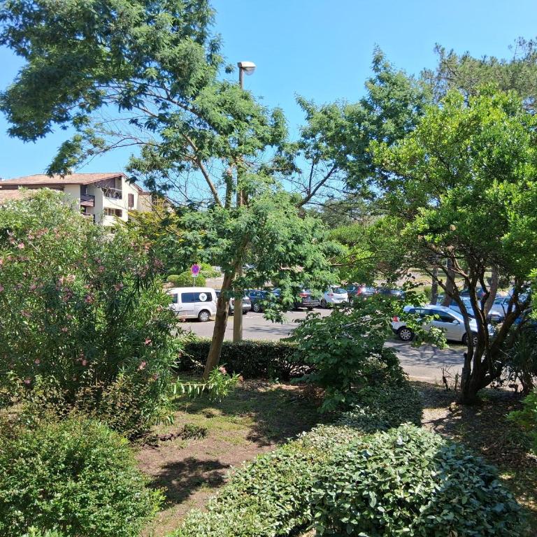 Appartement T2 à Seignosse - Plages et Commerces à Pied - Appartamento con 1 Camera da Letto - 15