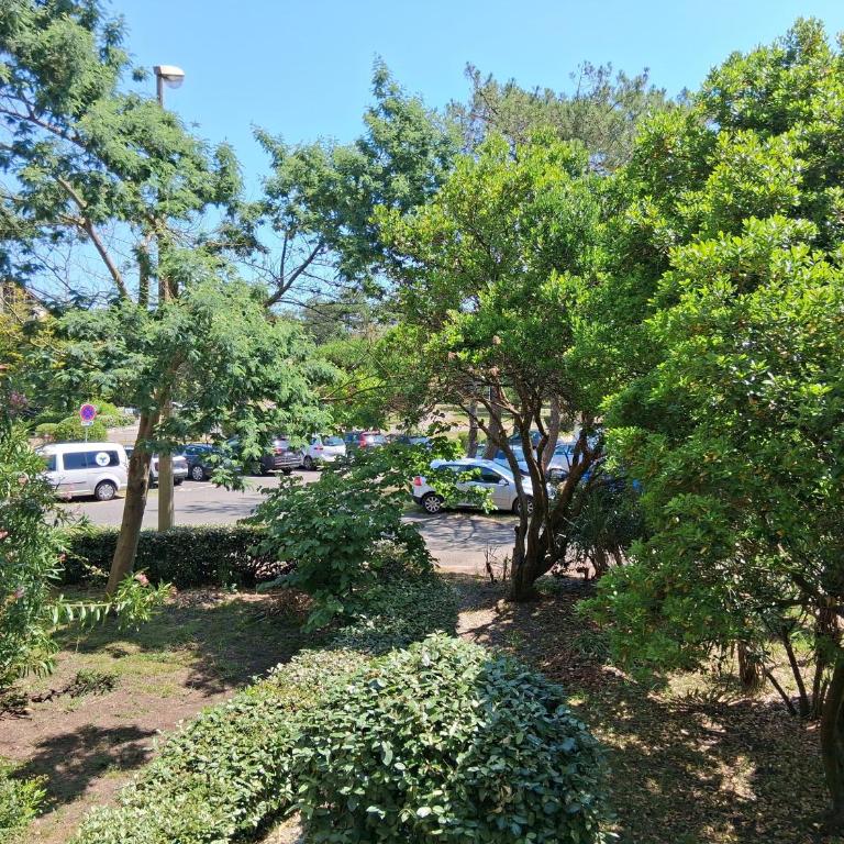 Appartement T2 à Seignosse - Plages et Commerces à Pied - Appartamento con 1 Camera da Letto - 16
