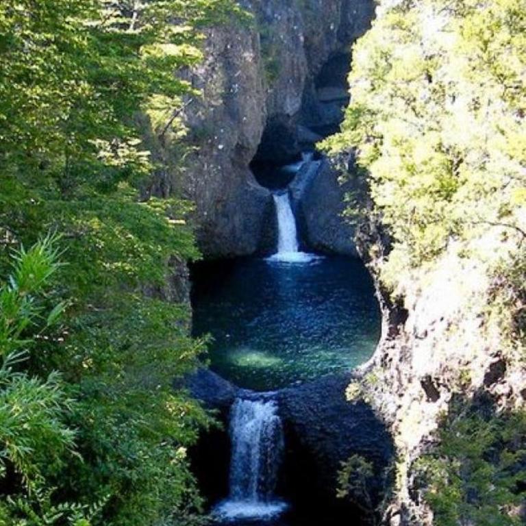 Glamping Domo 7 Tazas con Tinaja - Apartamento de 1 dormitorio - 5