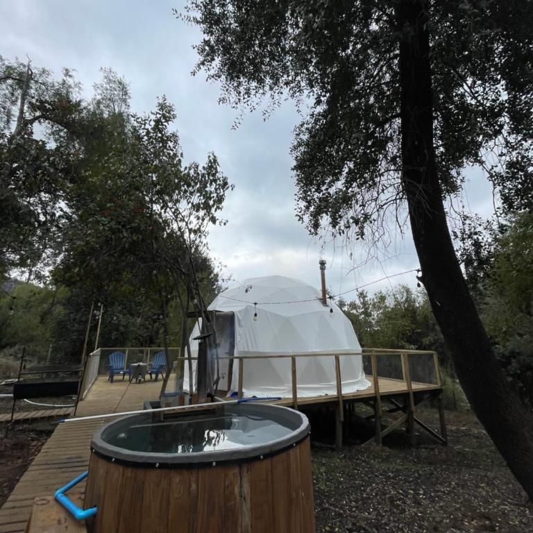 Glamping Domo 7 Tazas con Tinaja - Apartamento de 1 dormitorio - 13