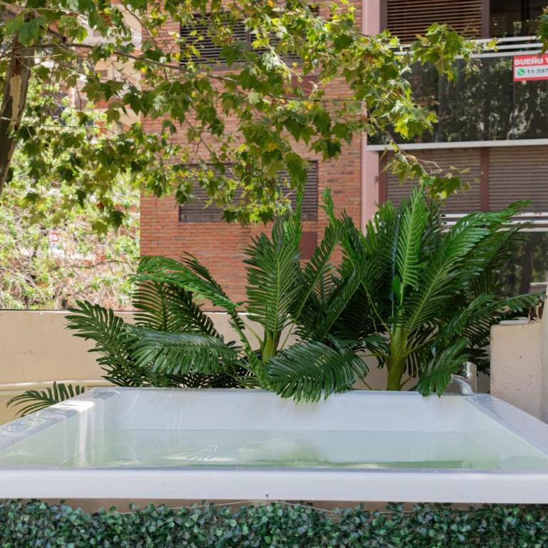MOT Chic Haus E Lux 1 Bd Palermo Chico - Apartamento - 5