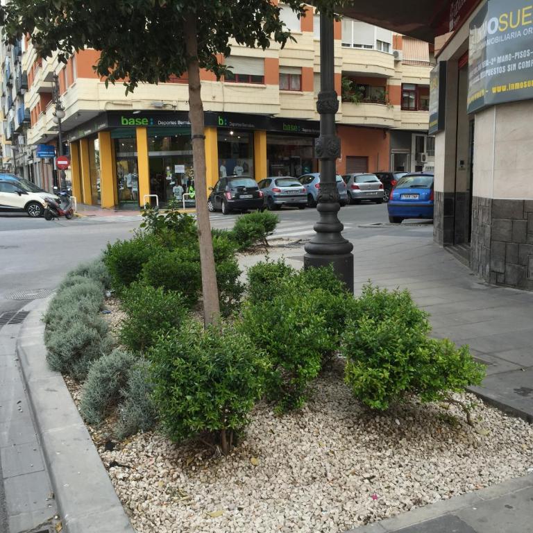 Apartamento Turístico Obispo36 en Orihuela ciudad - Apartamento de 3 dormitorios - 36