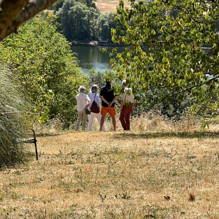 Jardin sur Loire - Chambre Double - 5