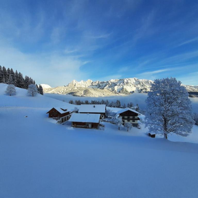 Bänklingerhütte - Apartment mit 5 Schlafzimmern - 1