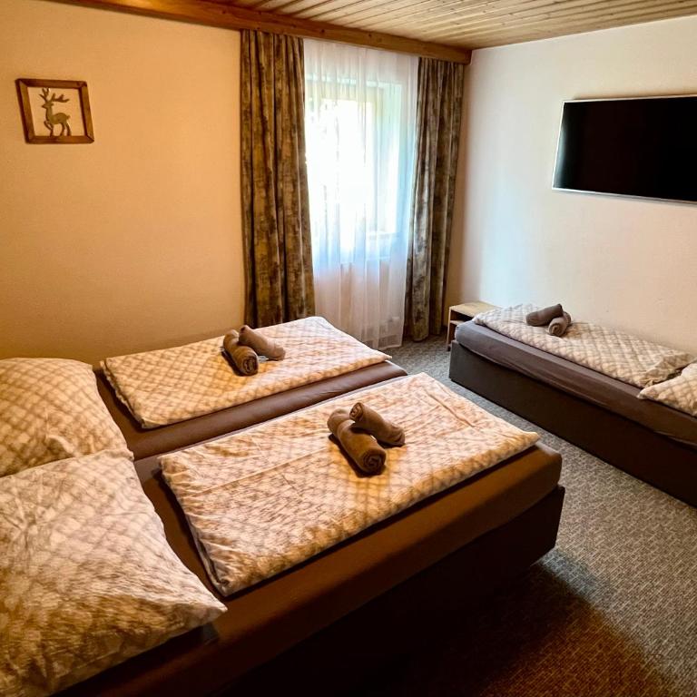 Pension Marina - Apartment - Ground Floor - 6
