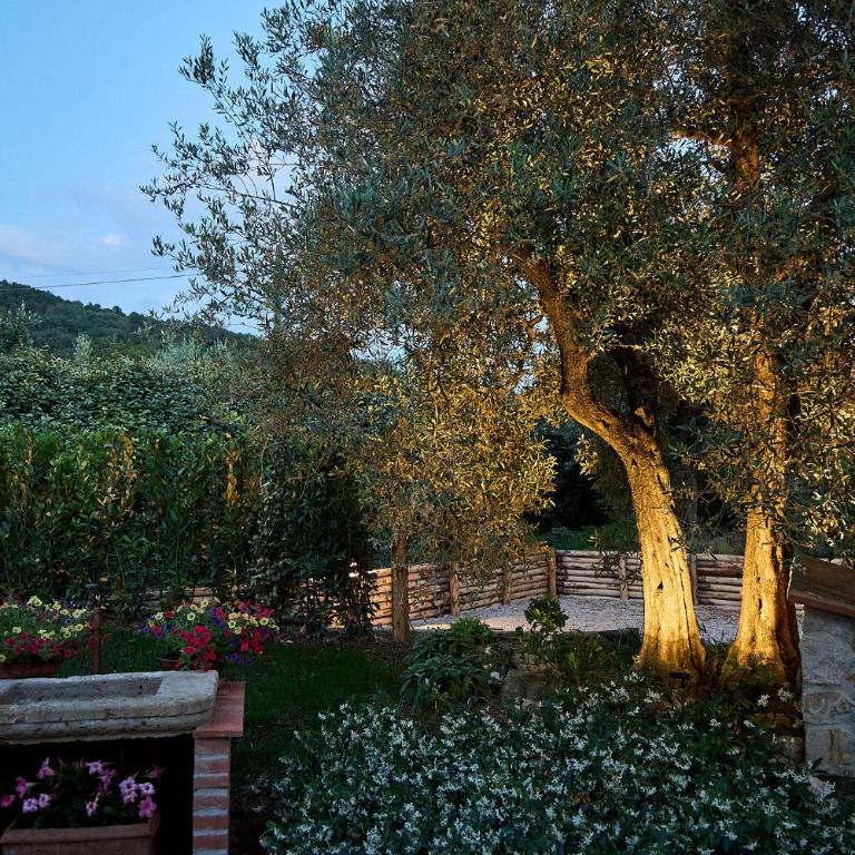Agriturismo I Roseti - Appartamento con 1 Camera da Letto - 36