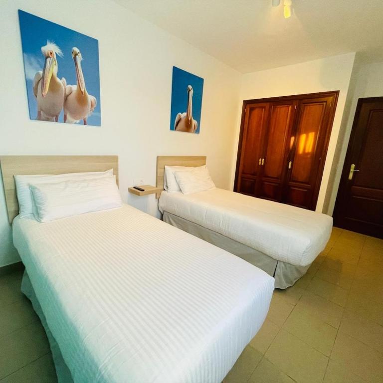 Villa Laika - One-Bedroom House - 16