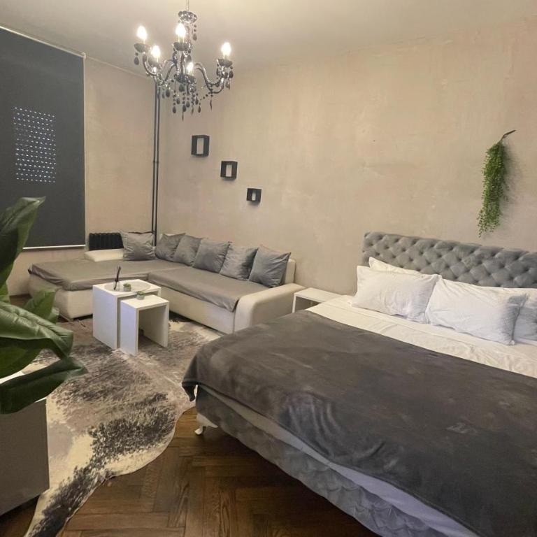 Okapi stays - One-Bedroom Apartment - 12