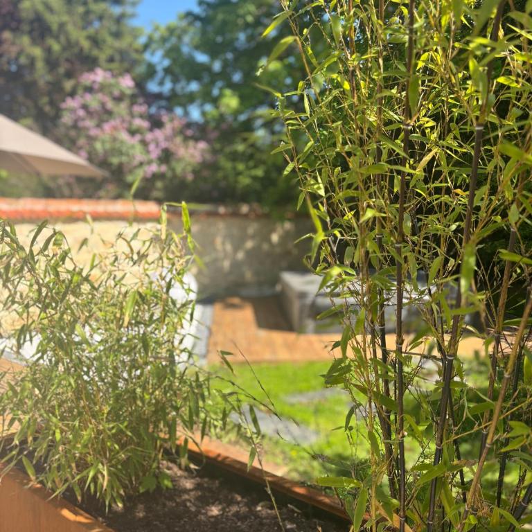 Les Ecuries de Rigny, Suite haut de gamme avec spa privatif et piscine au coeur d'un jardin arboré - Chambre Deluxe - 36