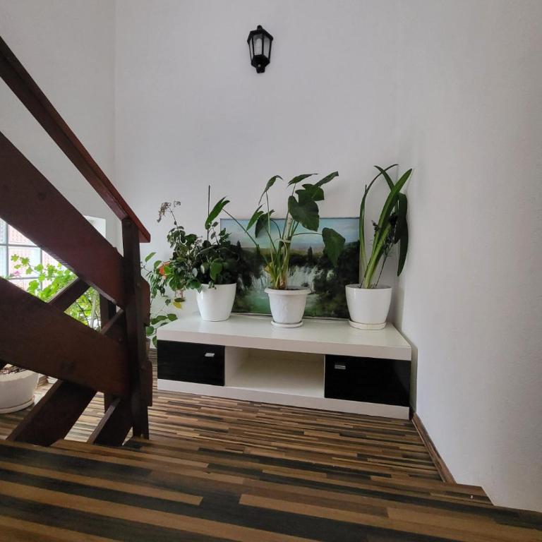 Villa FARAH Sarajevo - Vila - 48