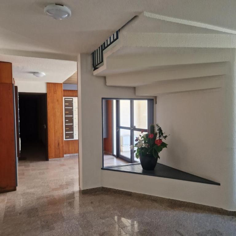 T2 Terrasse Vue Mer Centre Calvi - Appartement 1 Chambre - 14