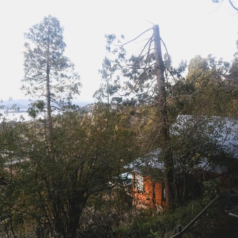 Refugio de bosque con jacuzzi en terraza y vista panorámica al lago - Casa de 2 dormitorios - 38