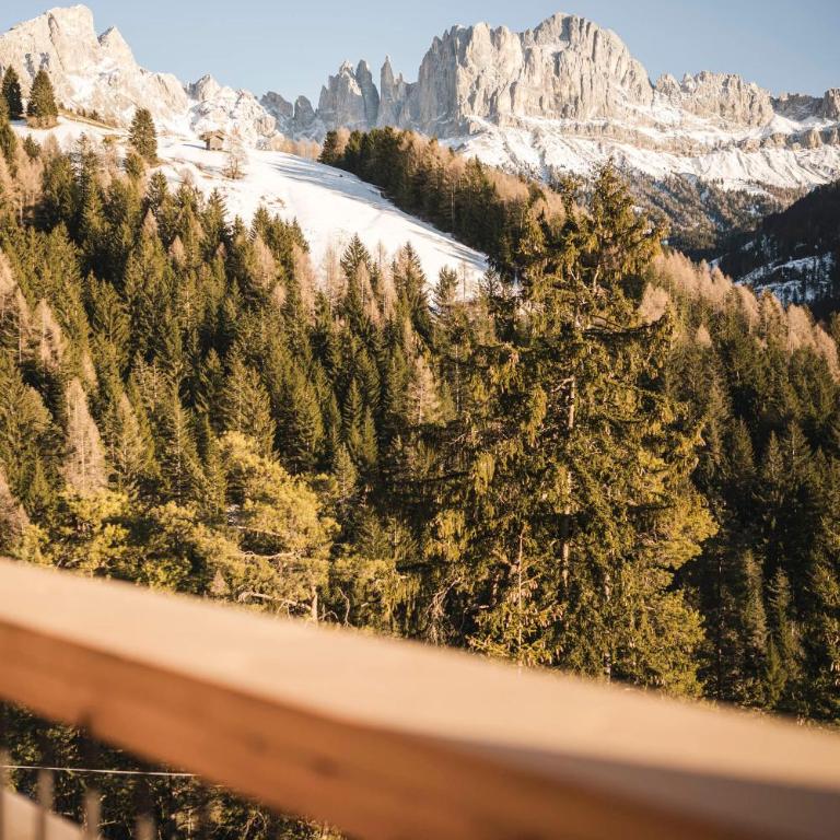Florisa Mountain Chalet - Appartamento con 2 Camere da Letto - 1