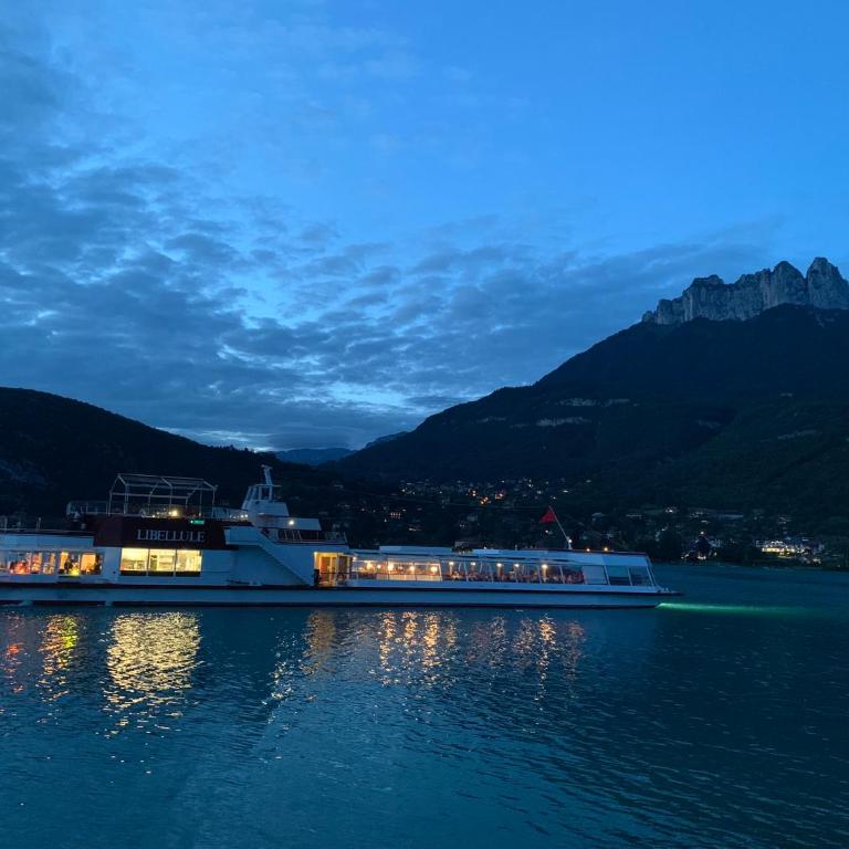 Vue montagnes, à 5 mn du lac et de la piste cyclable,lit King size, Park gratuit - Appartement 1 Chambre - 33