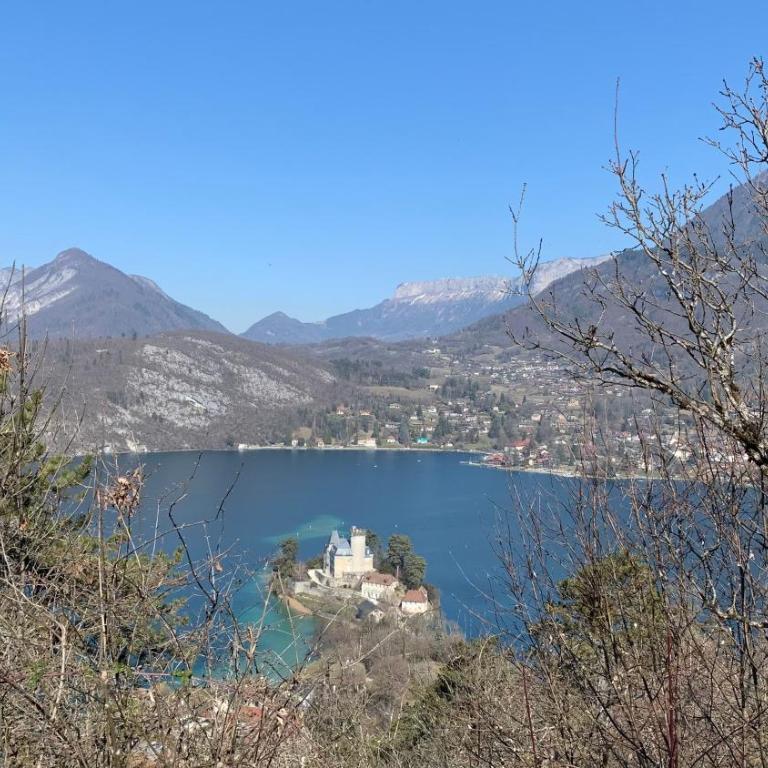 Vue montagnes, à 5 mn du lac et de la piste cyclable,lit King size, Park gratuit - Appartement 1 Chambre - 41