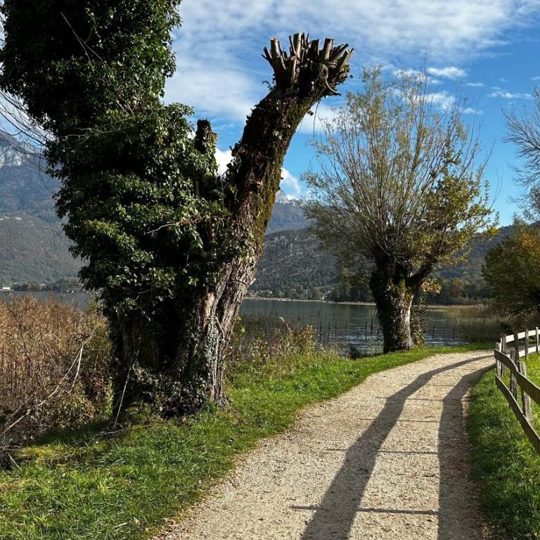 Vue montagnes, à 5 mn du lac et de la piste cyclable,lit King size, Park gratuit - Appartement 1 Chambre - 37
