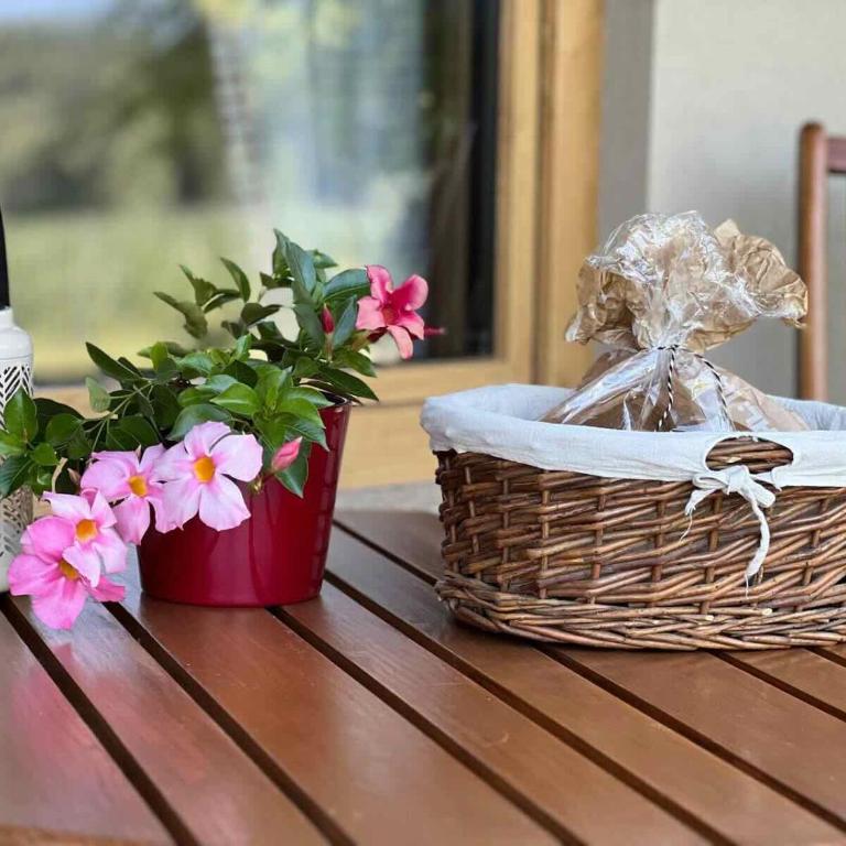 Einfach bei uns - Apartment mit 1 Schlafzimmer - 35