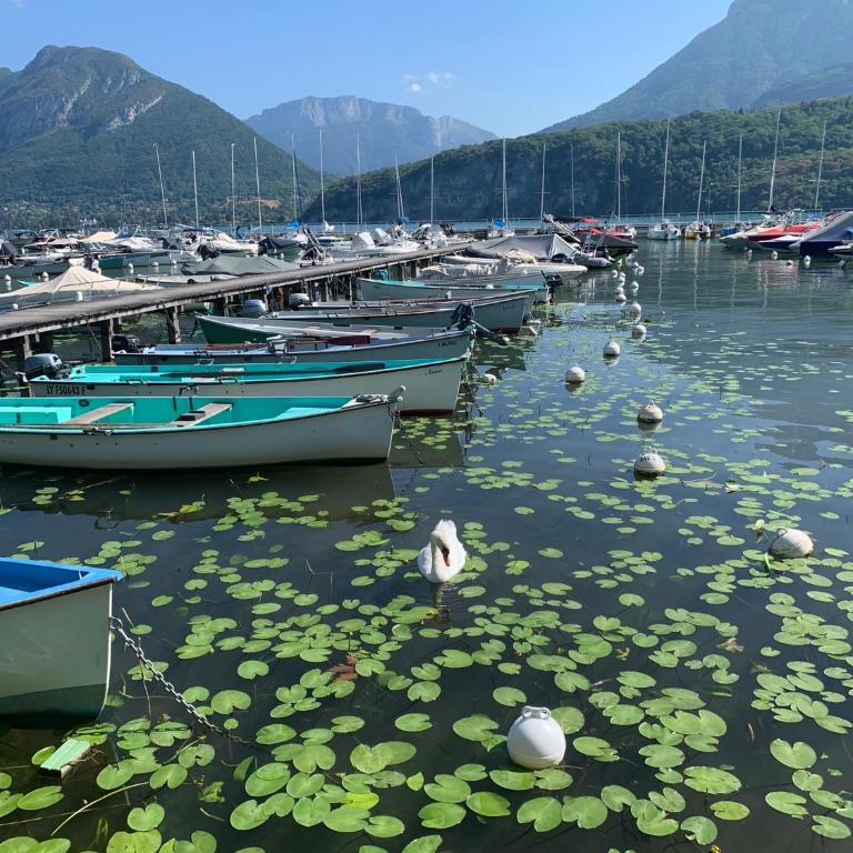 Vue montagnes, à 5 mn du lac et de la piste cyclable,lit King size, Park gratuit - Appartement 1 Chambre - 32