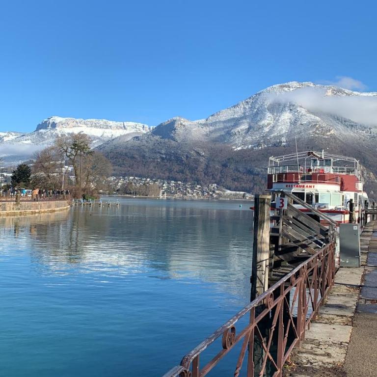 Vue montagnes, à 5 mn du lac et de la piste cyclable,lit King size, Park gratuit - Appartement 1 Chambre - 42