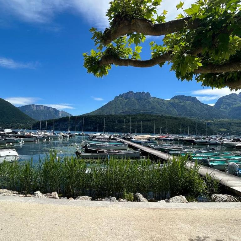 Vue montagnes, à 5 mn du lac et de la piste cyclable,lit King size, Park gratuit - Appartement 1 Chambre - 31