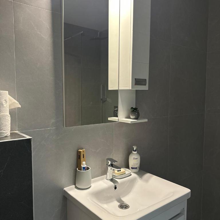 Primavera apartments Banja Koviljaca - Apartman sa 1 Spavaćom Sobom - 7