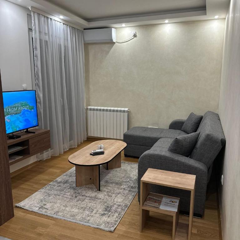 Primavera apartments Banja Koviljaca - Apartman sa 1 Spavaćom Sobom - 10
