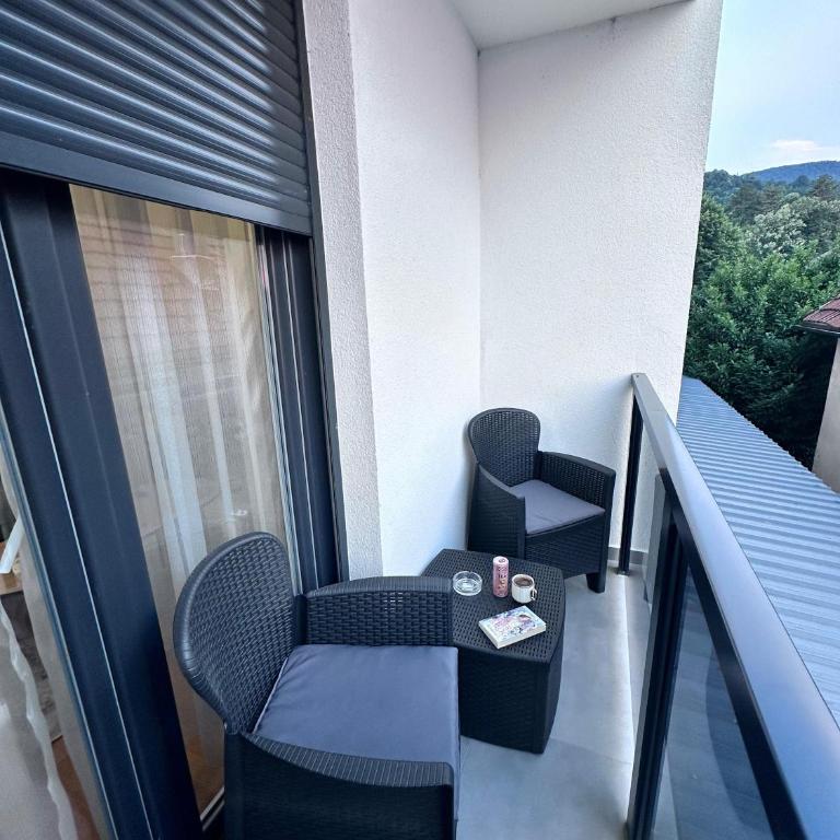 Primavera apartments Banja Koviljaca - Apartman sa 1 Spavaćom Sobom - 12