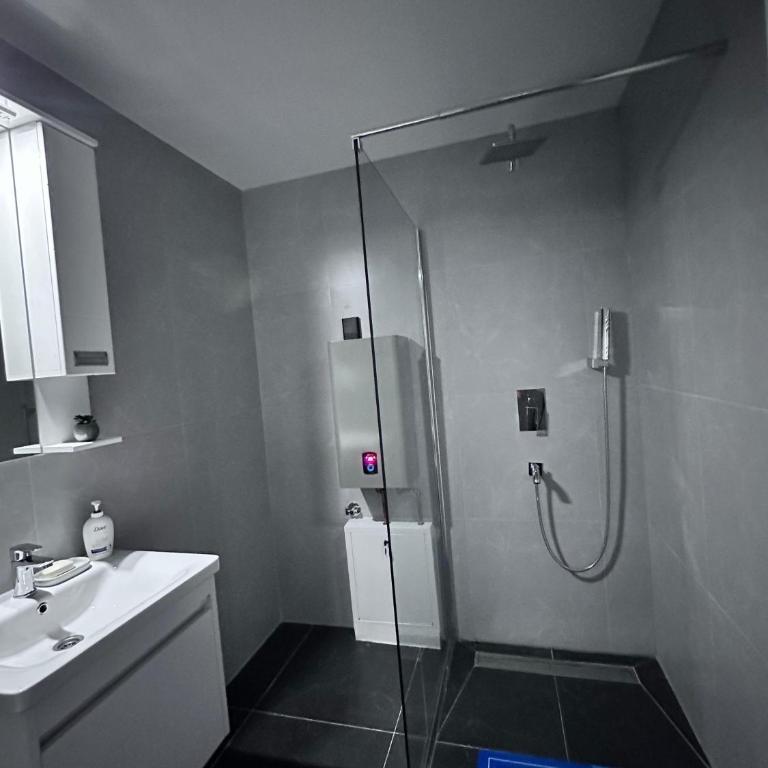 Primavera apartments Banja Koviljaca - Apartman sa 1 Spavaćom Sobom - 19