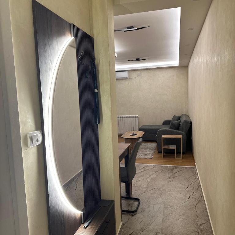 Primavera apartments Banja Koviljaca - Apartman sa 1 Spavaćom Sobom - 20