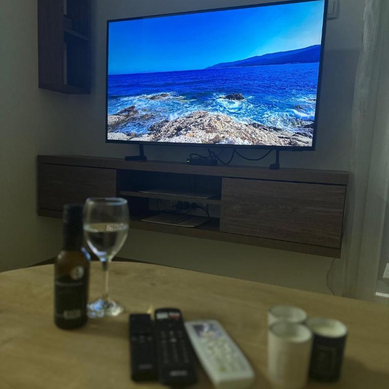 Primavera apartments Banja Koviljaca - Apartman sa 1 Spavaćom Sobom - 22