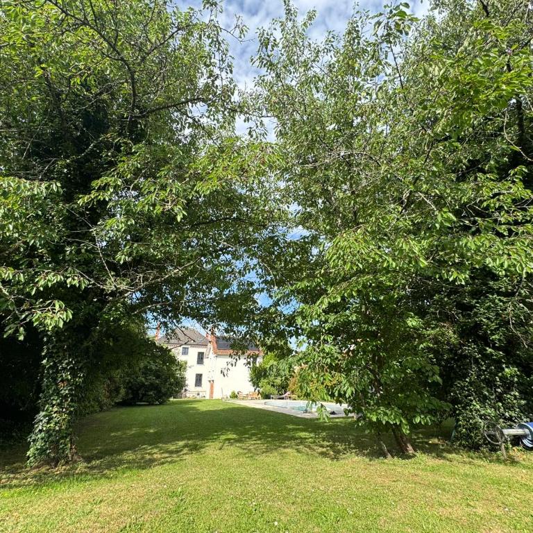 Villa des Troènes - centre ville - vue sur l'Allier avec Piscine - Villa - 7
