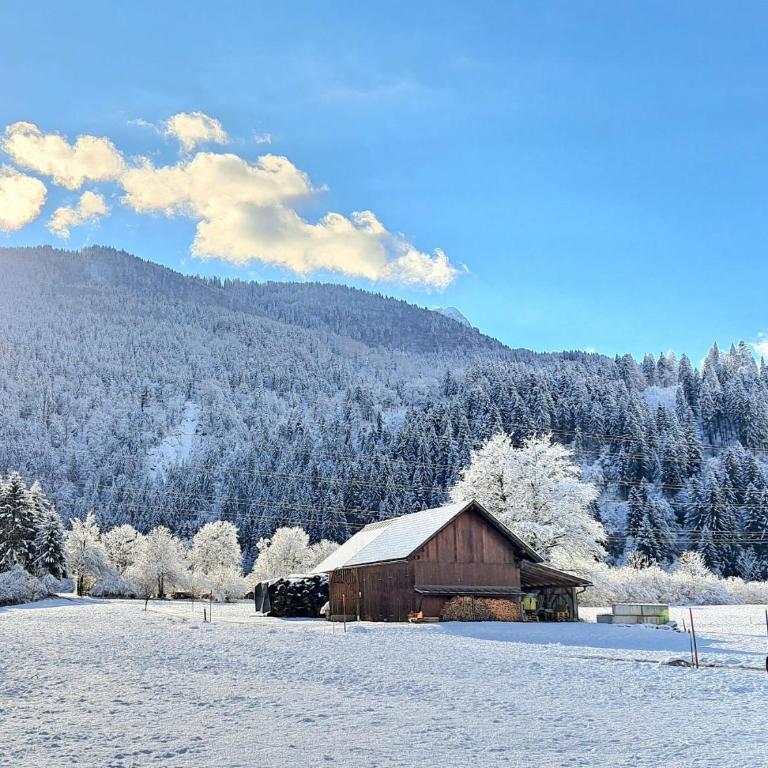 atHOME Appartements - Apartment mit 3 Schlafzimmern und Bergblick - 44