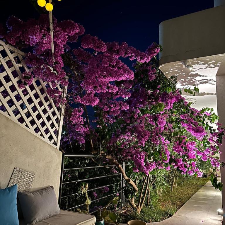 Carpe Diem 1 - Two-Bedroom Apartment - 47