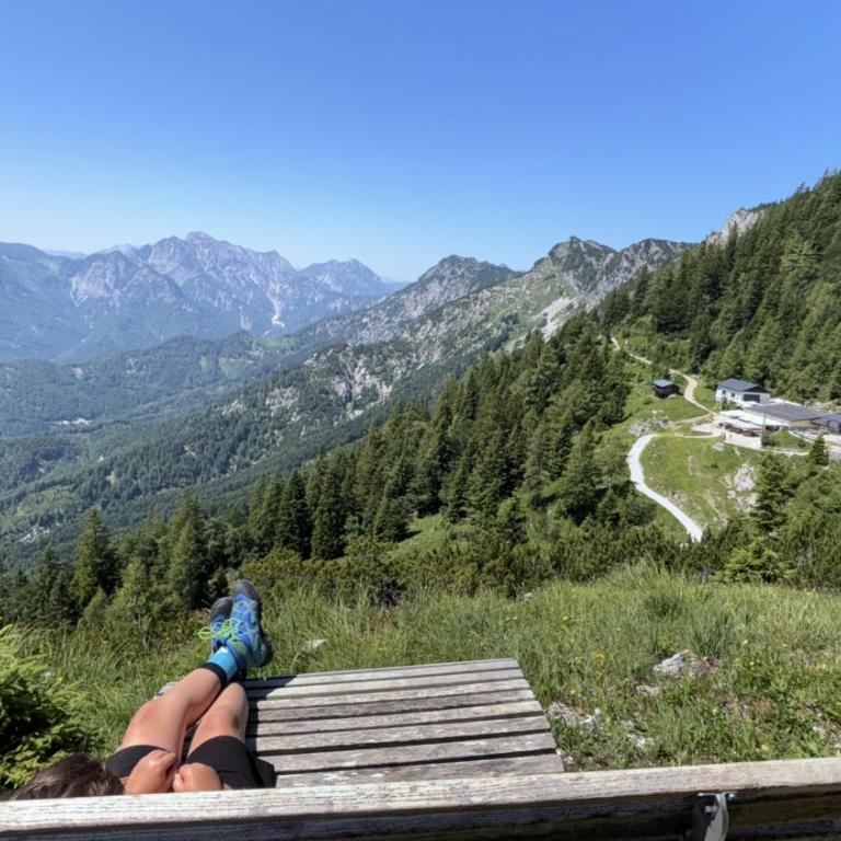 Forest Apartment Gosau - One-Bedroom Apartment - 48