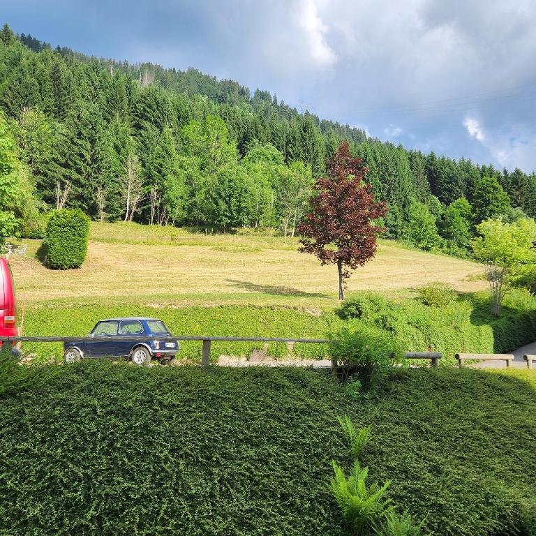Nouveau !LE CHOUCAS appartements au centre de Chatel avec parking couvert - Appartement avec Balcon - 9