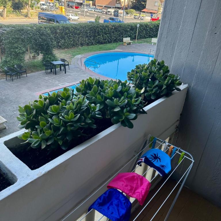 Appartamento piscina&mare - Appartamento con 1 Camera da Letto - 15