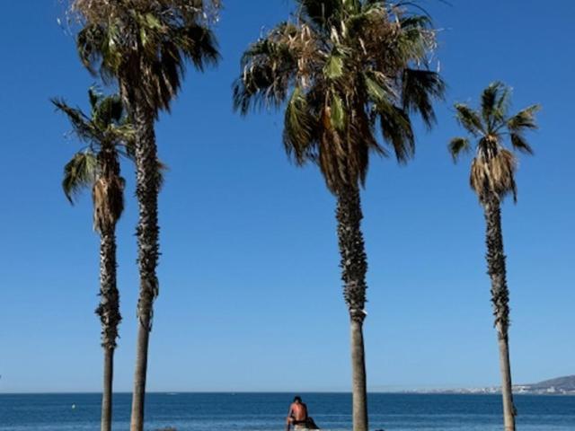 Apartamento La Biznaga - Apartamento de 3 dormitorios - 49