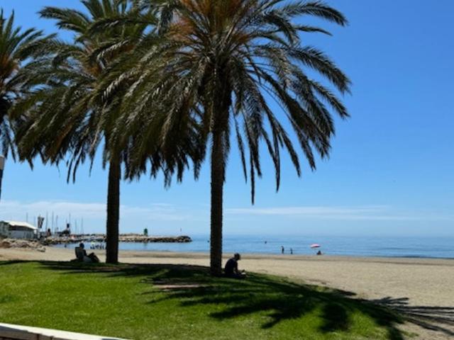 Apartamento La Biznaga - Apartamento de 3 dormitorios - 56