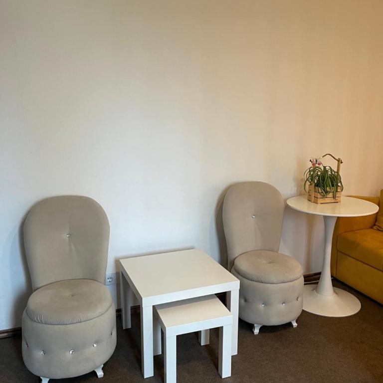 Urban Nest Sarajevo - Apartman sa 1 Spavaćom Sobom - 4