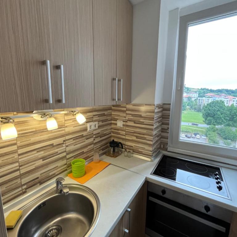 Urban Nest Sarajevo - Apartman sa 1 Spavaćom Sobom - 8