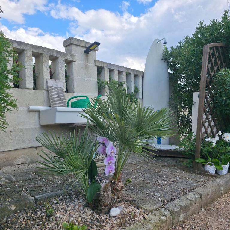 Villa Sette Nani - Appartamento con Vista Giardino - 27
