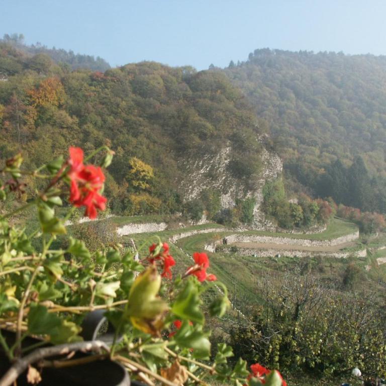 Ca' Dei Fazzilisti - Studio mit Bergblick - 10