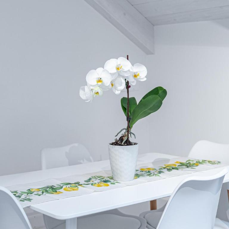 Dimora Zagara - Large Double Room - 23