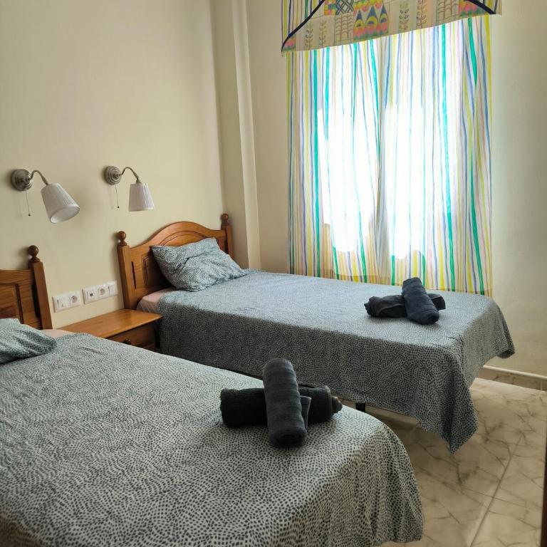 Amanecer - Surfers Dream - Apartamento de 2 dormitorios - 6
