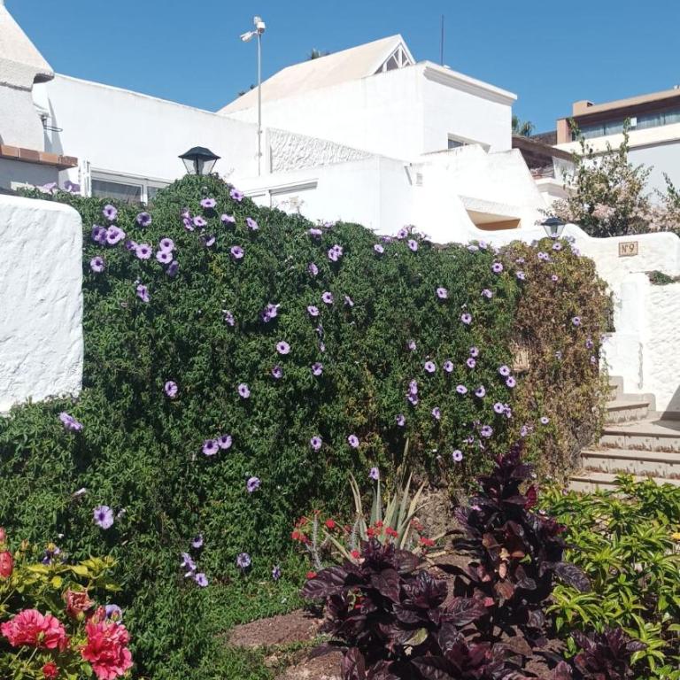 Casa Flora - Villa de 2 dormitorios - 3