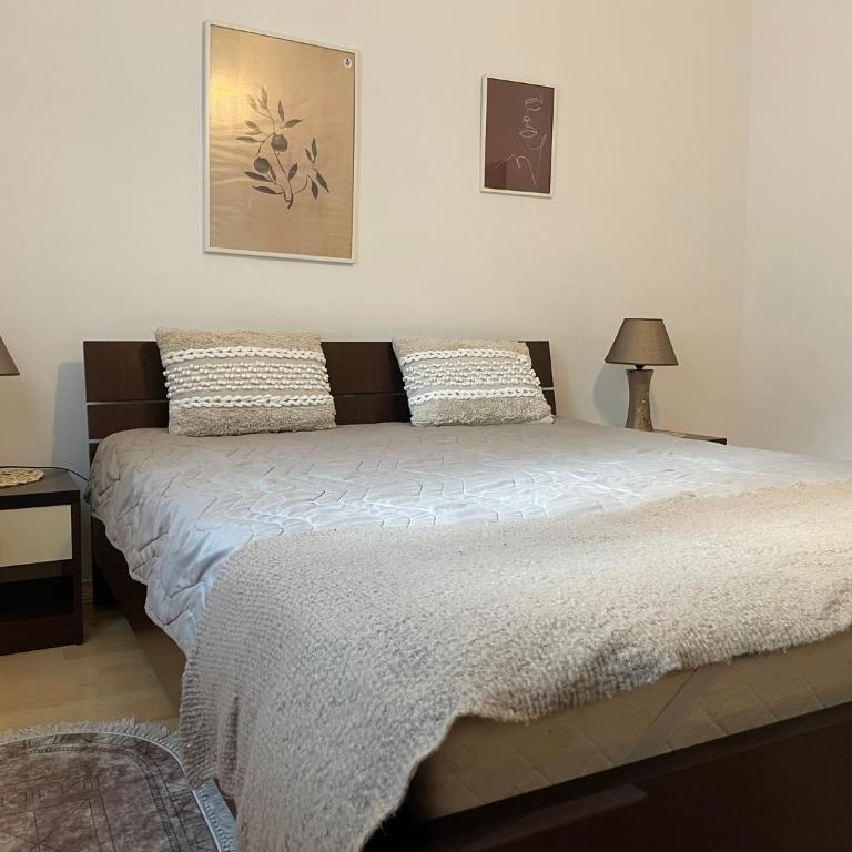 Cozy Townhouse Niš - Two-Bedroom Apartment - 9