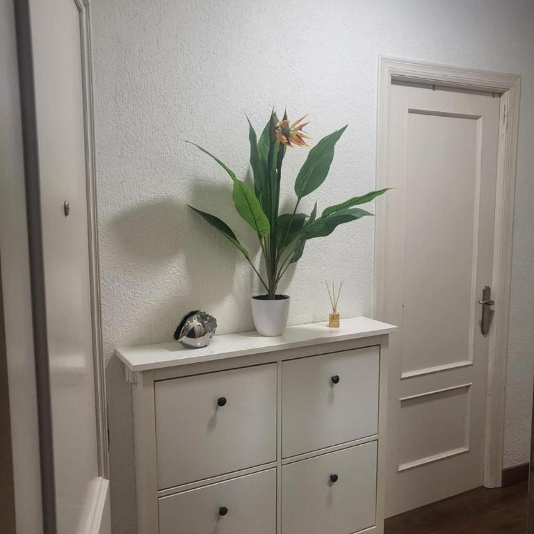 Almeria Playa Frontline - Apartamento de 3 dormitorios - 5