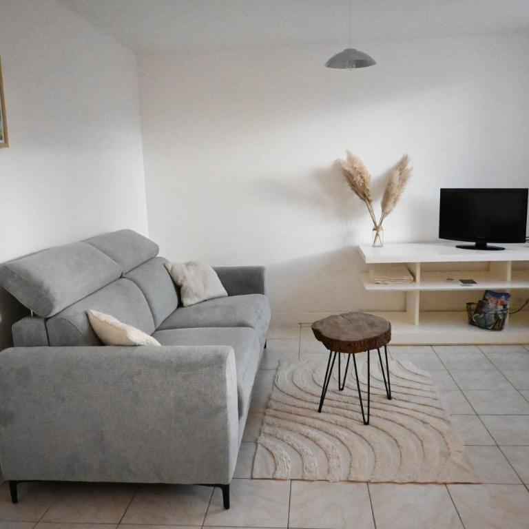 Appartement, jolie vue montagne - Appartement 1 Chambre - 1